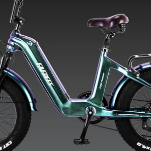 Fafrees F20 MASTER elektrische fiets ebike