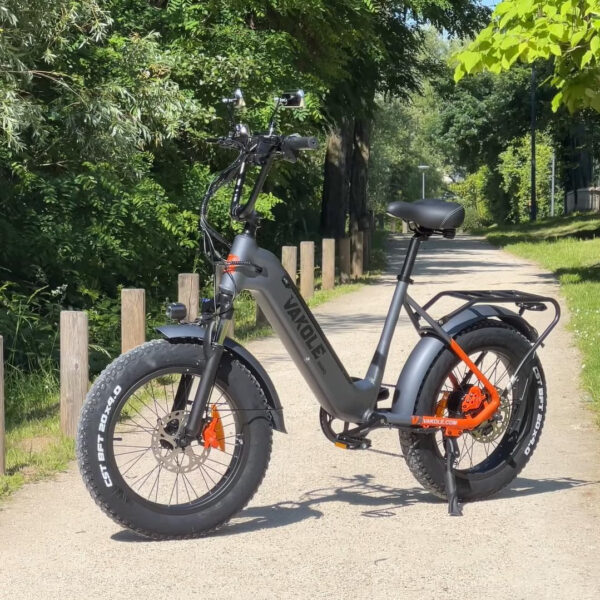 VAKOLE SG20 E-Bike Fatbike 20 inch met 48 V 15,6 Ah wisselaccu, bereik tot 110 km, 7 versnellingen e-mountainbike met app, elektrische fietsen voor heren en dames - Afbeelding 2